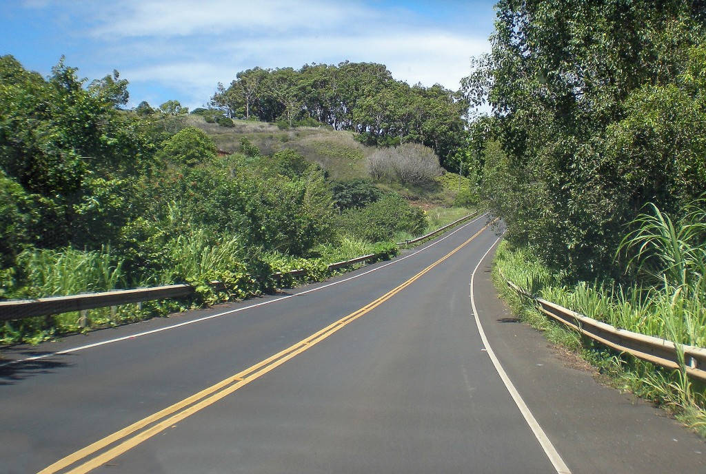 The Road To Hana, Trees, Plants, And Partly Cloudy Sky