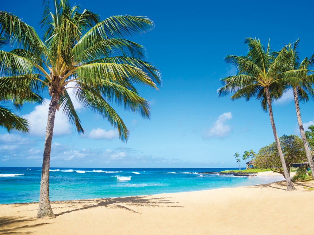 01_Kauai_Outdoors