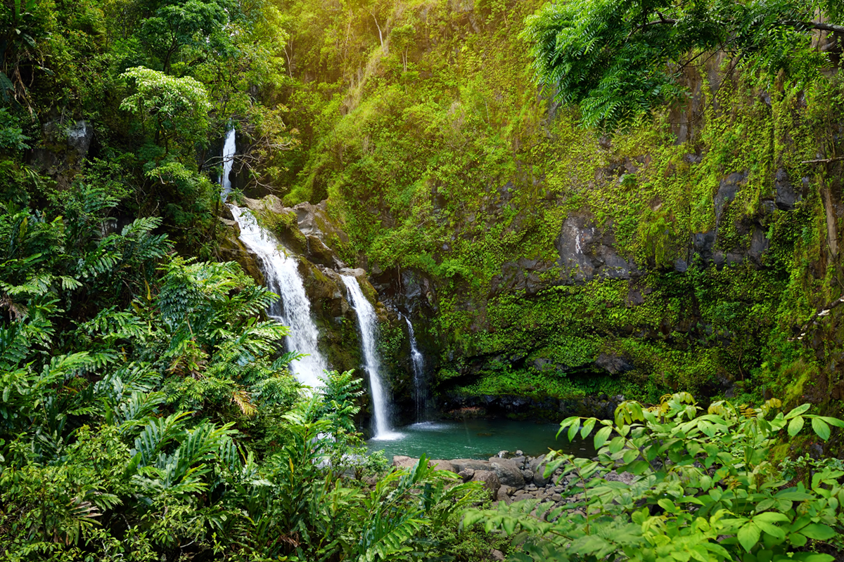 waikani