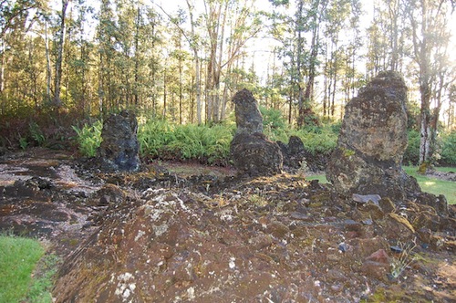 lava_trees_state_monument_reopened_after_four_months_hurricane_iselle lava_trees_state_monument_reopened_after_four_months_hurricane_iselle