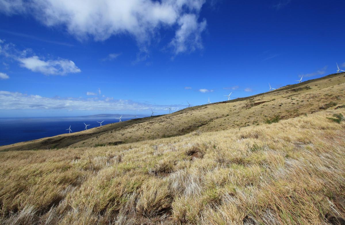 lahaina pali hike