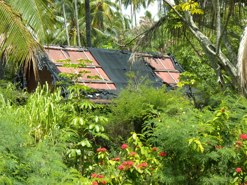 Coco_Palms_Update