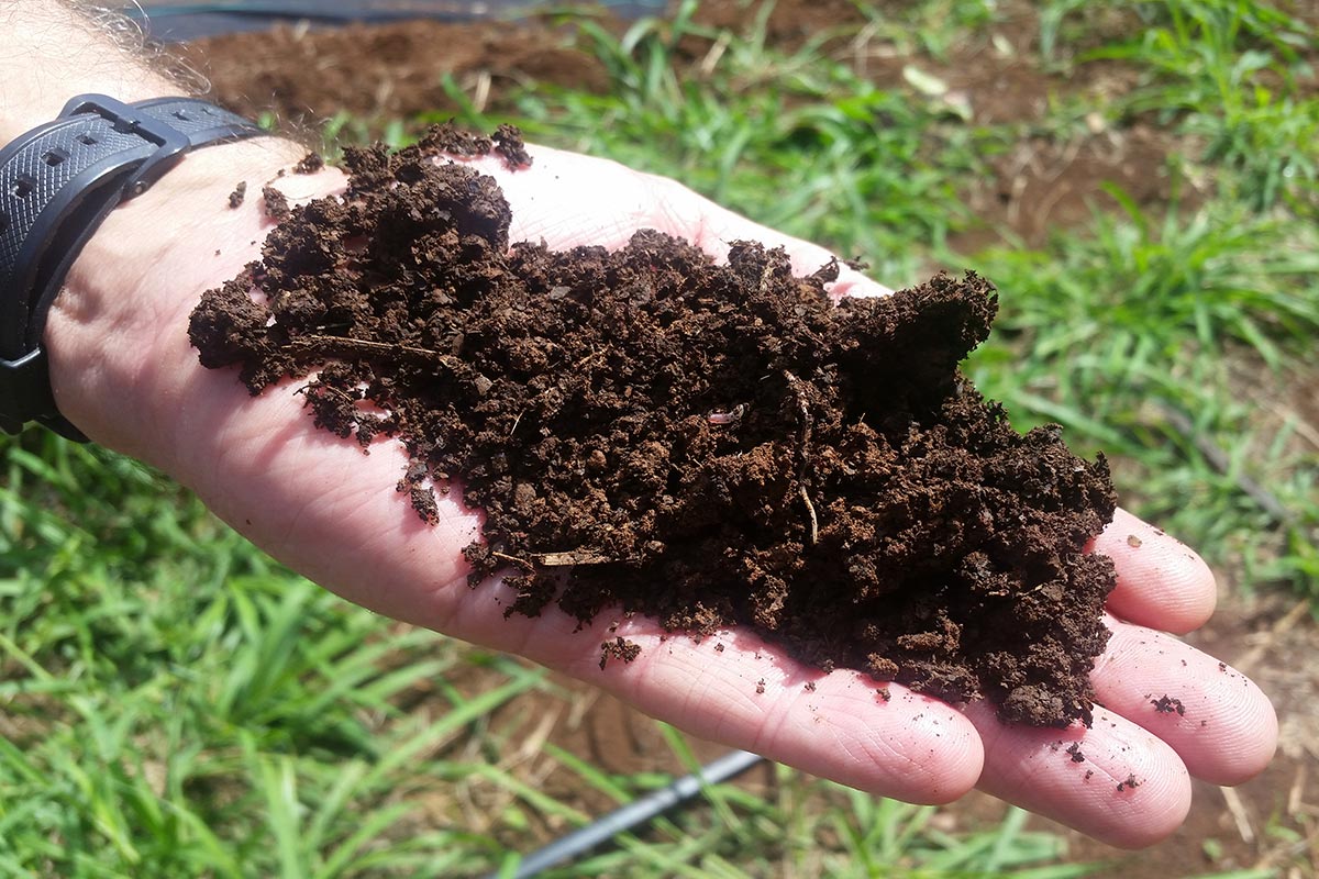 soil