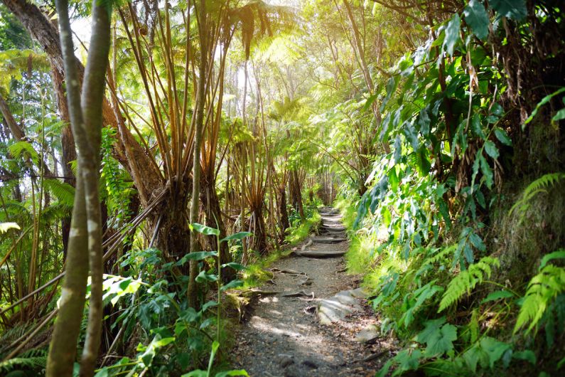 2020BOB-hikes-BI-opener-GettyImages-1188615101