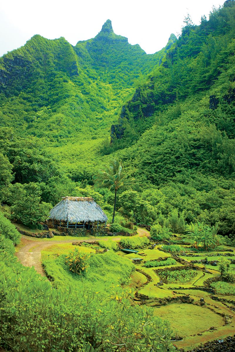 limahuli garden