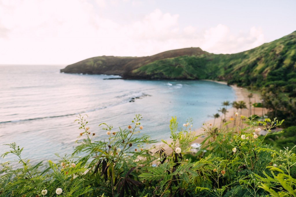 AY1810 Makapuu Scenic 1889