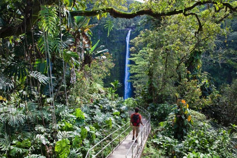 Akaka Falls