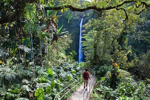 Hawaii_hiking_Volcano_Akaka_Waipio