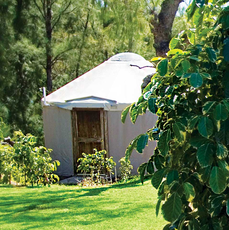 yurt