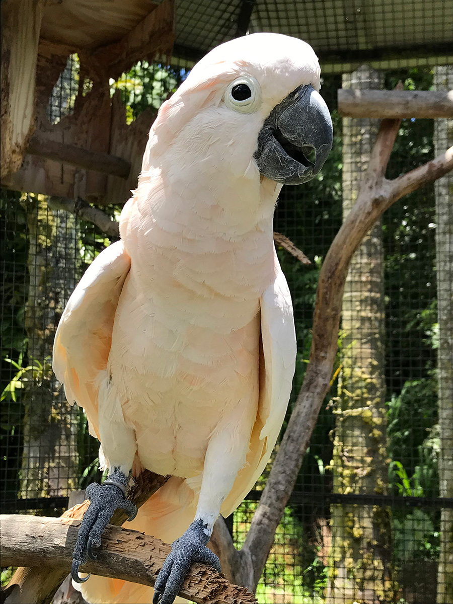  width=