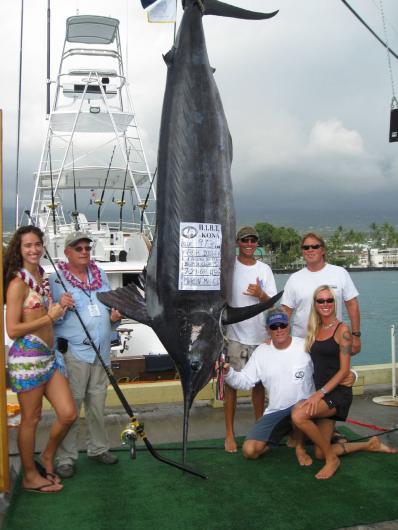 Billfish