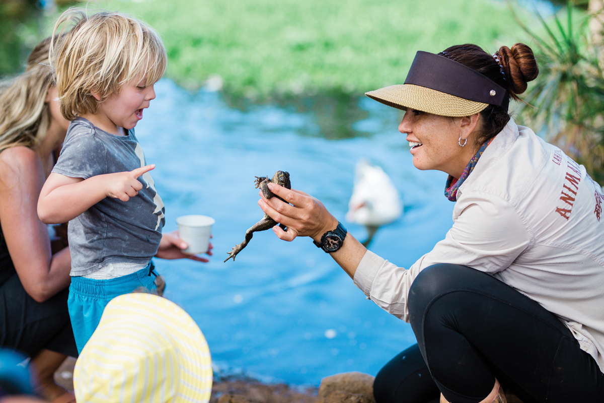 holding frog