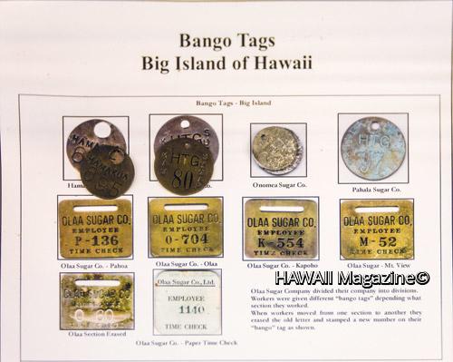 Cane_Haul_Hawaii_Plantation_Museum_Sugar_Hilo Cane_Haul_Hawaii_Plantation_Museum_Sugar_Hilo