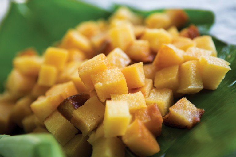 cassava
