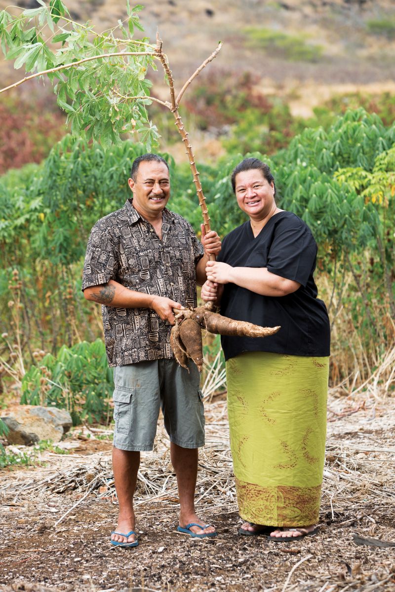 cassava
