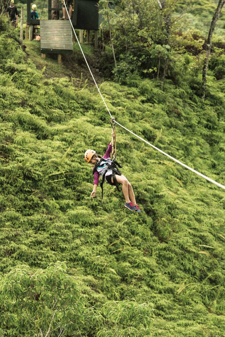 zipline