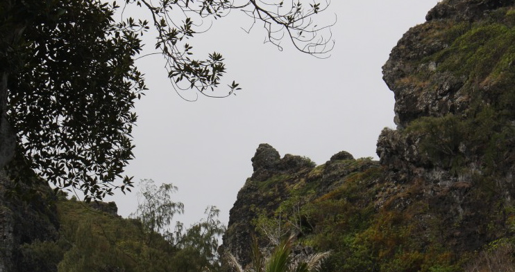 CrouchingLion9