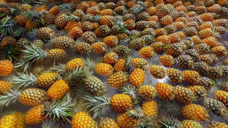 Maui Gold Pineapple