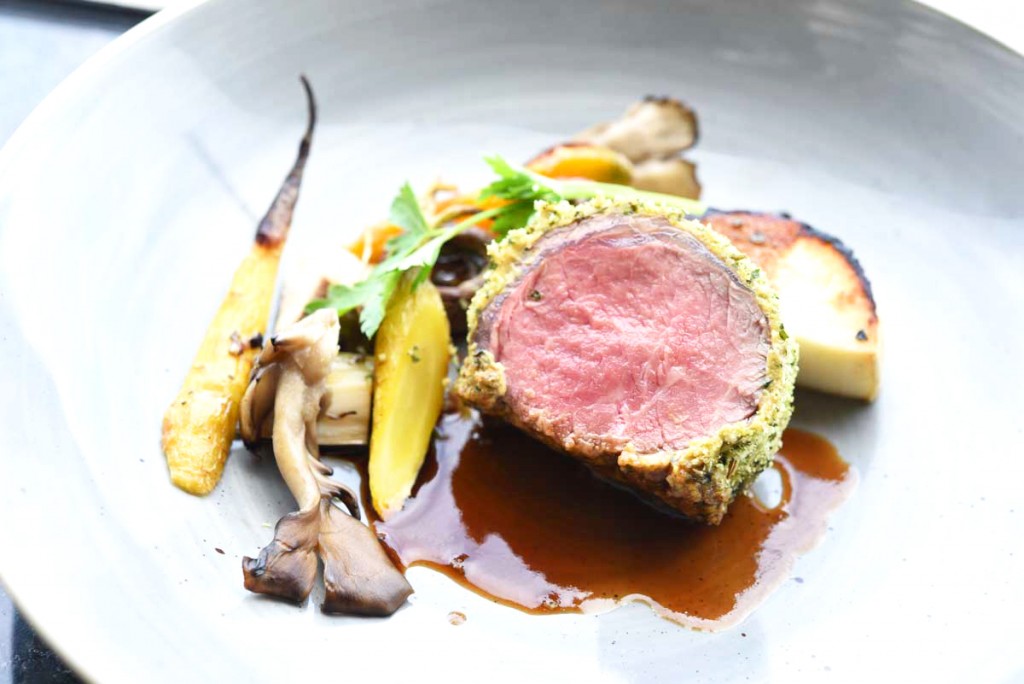 venison