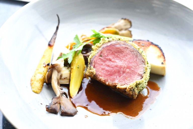 venison