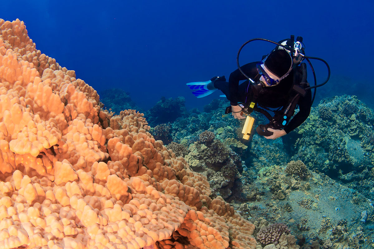diver