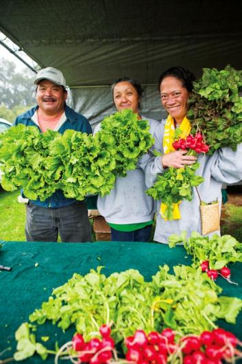FarmersMarket5