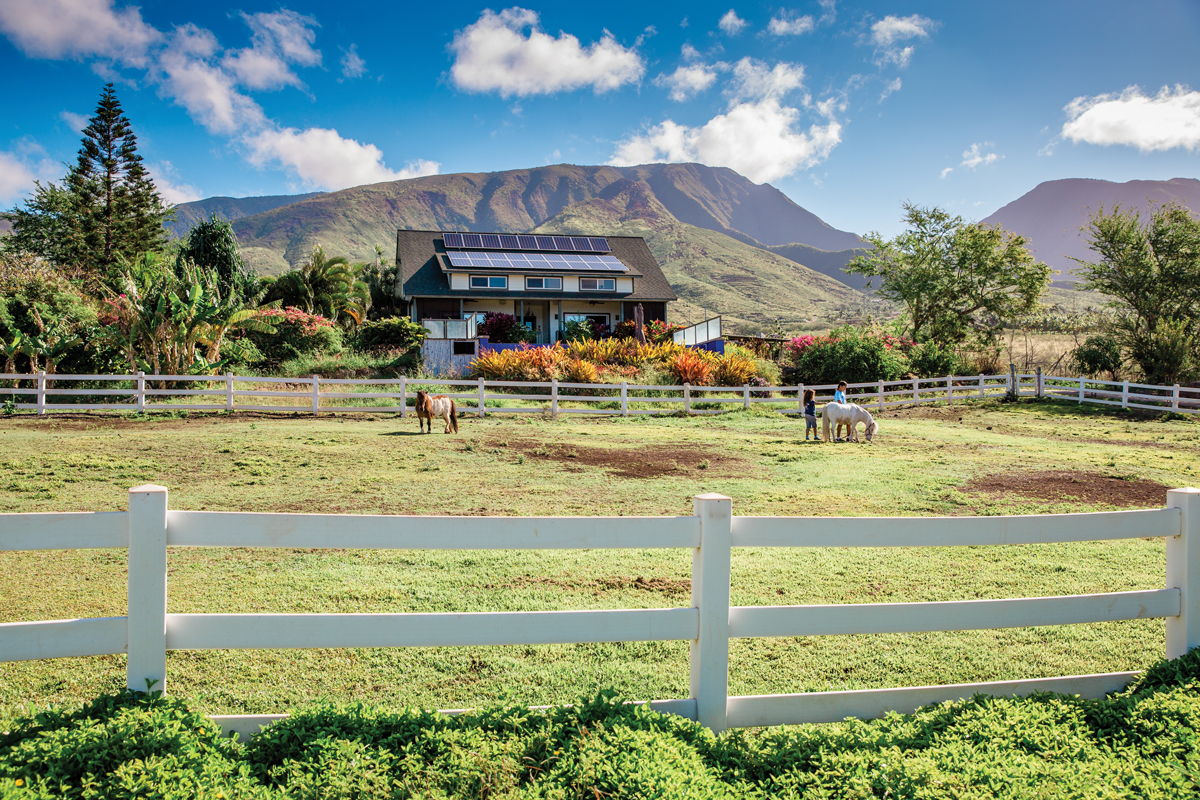 Lahaina Animal Farm