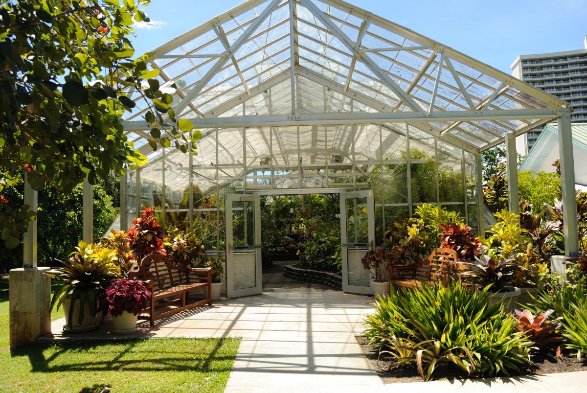 foster botanical gardens oahu