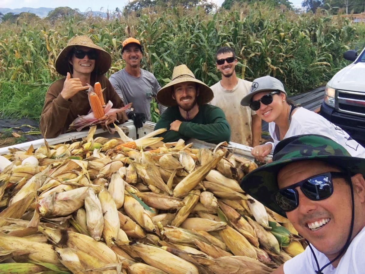 gofarm