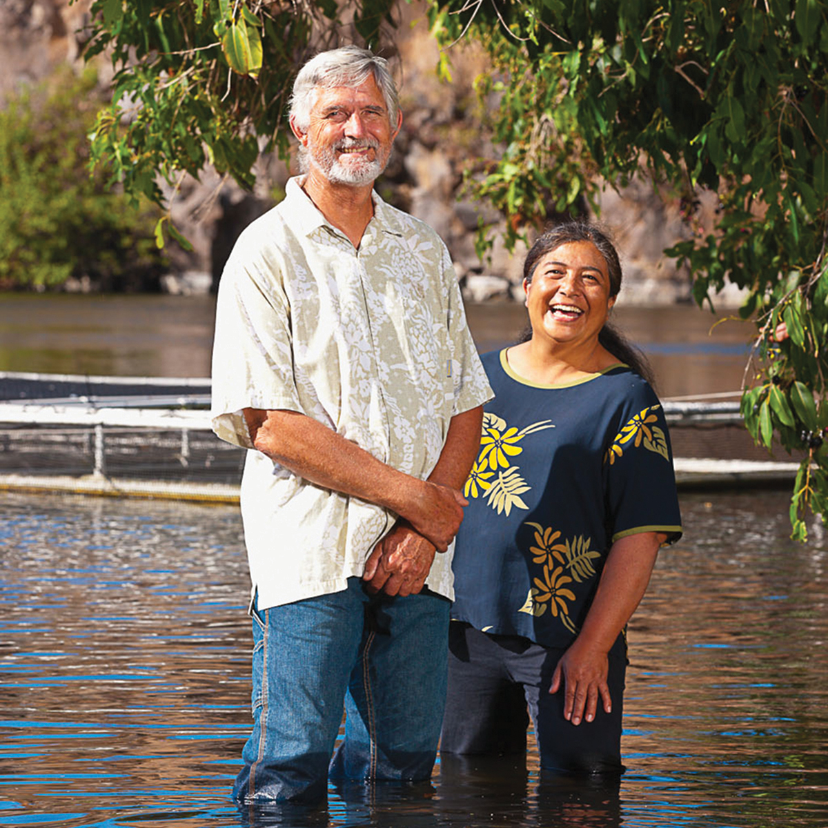 hawaii fish company