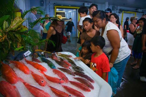 HawaiiFishing3