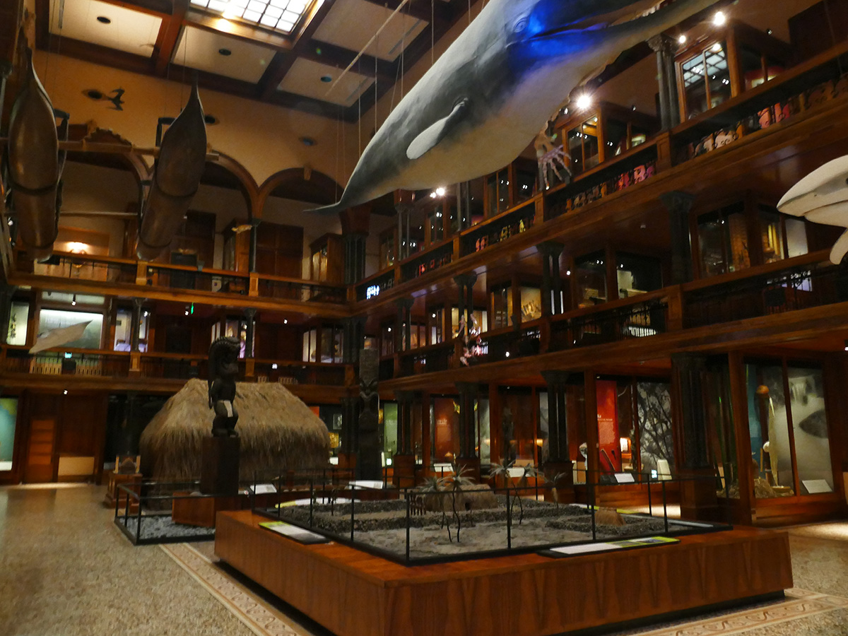 hawaii hall