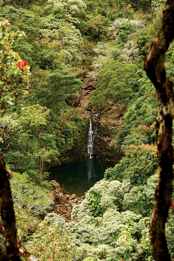 garden of eden hana