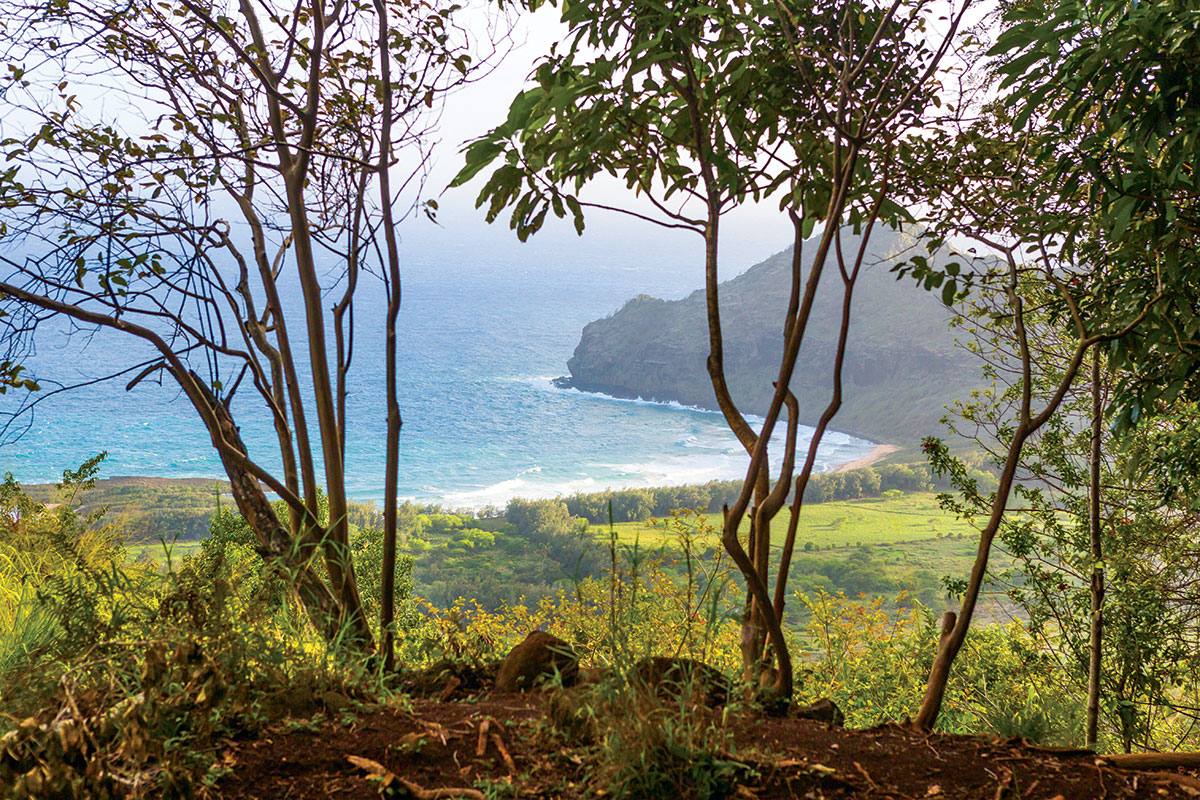 kipu