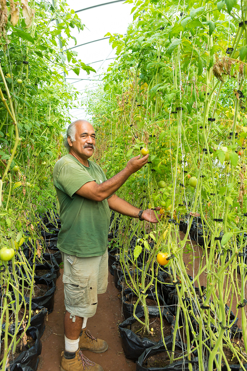 hana fresh farm