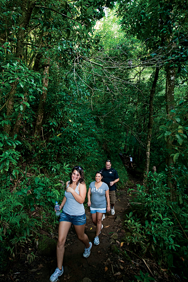 manoa-falls-oahu