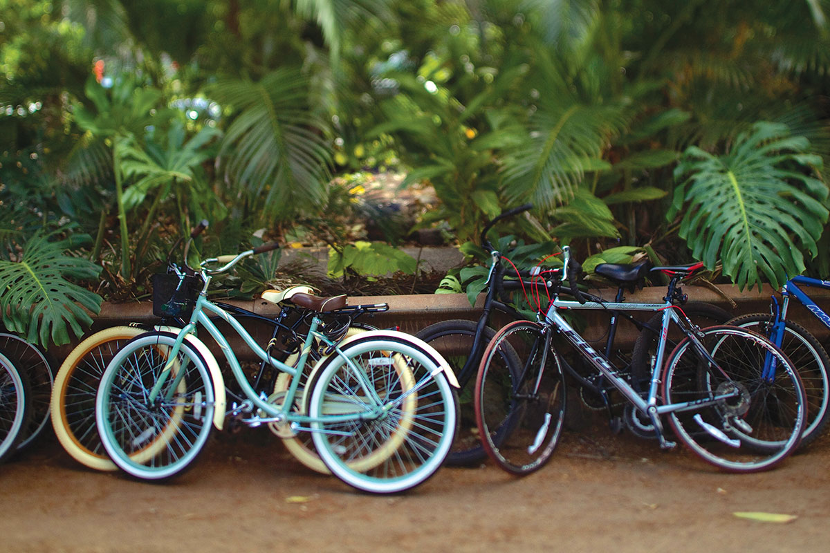bikes