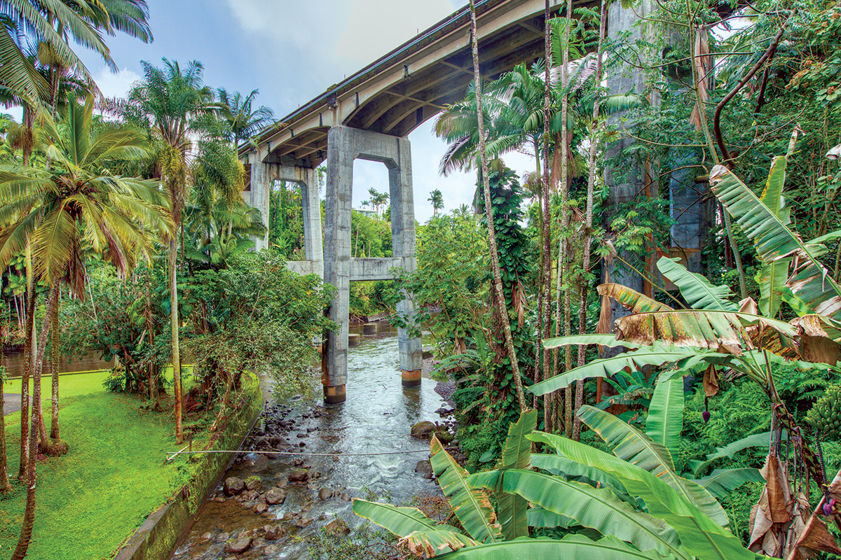 hamakua