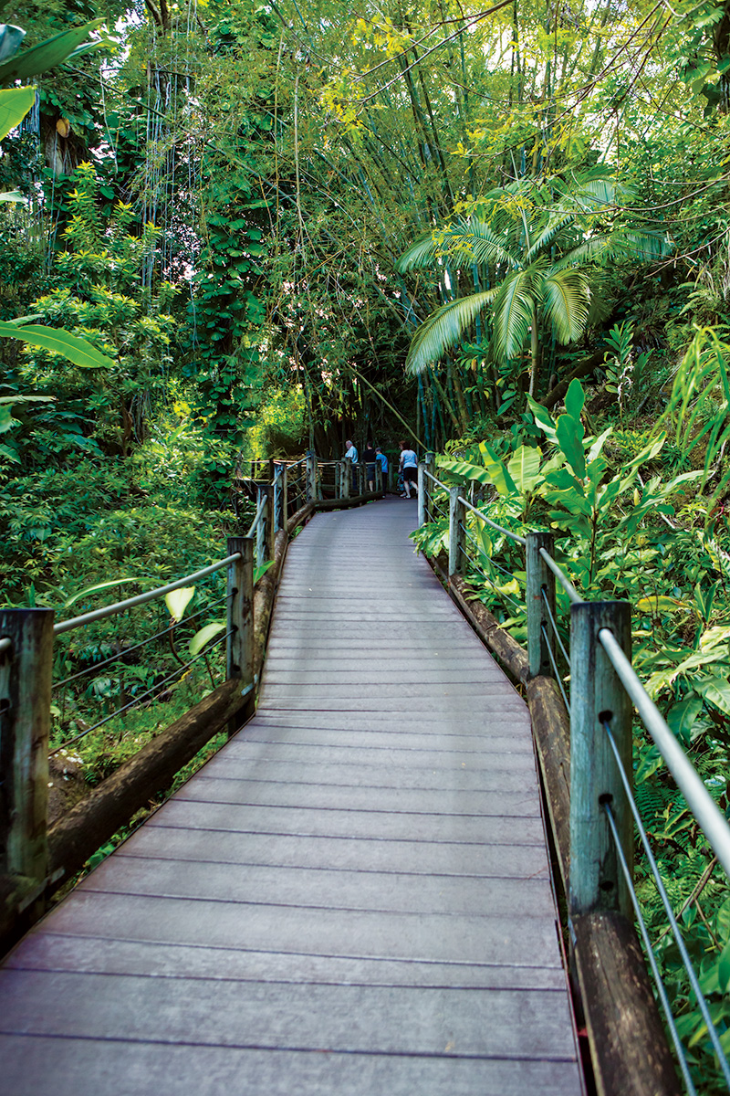 boardwalk