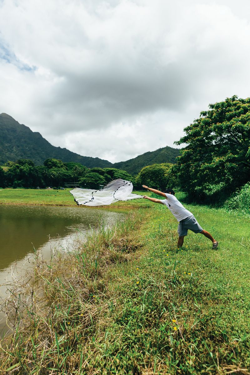 kualoa ranch