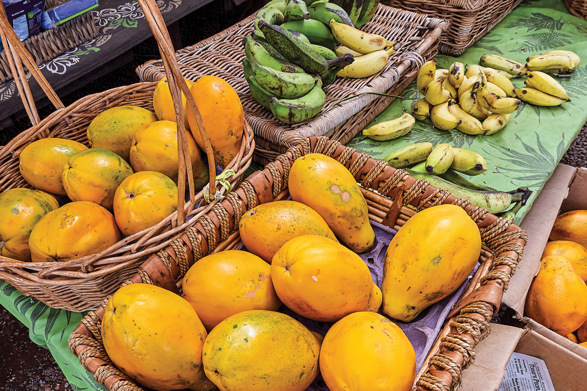 fruit
