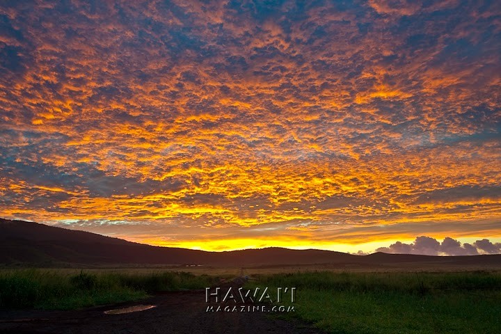 Hawaii_Lanai_sale