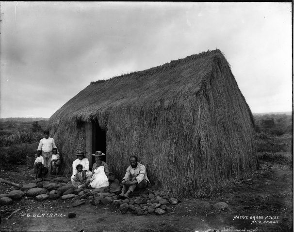 Hilo Grass House wl
