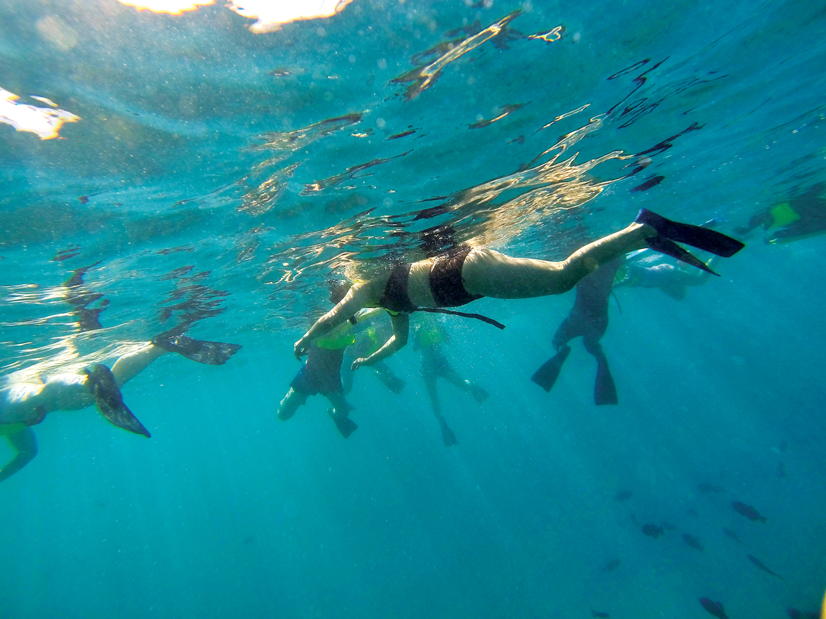 swimming