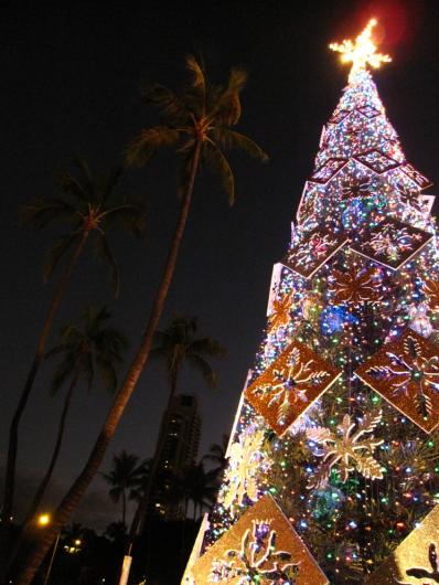 HonoluluHaleTree