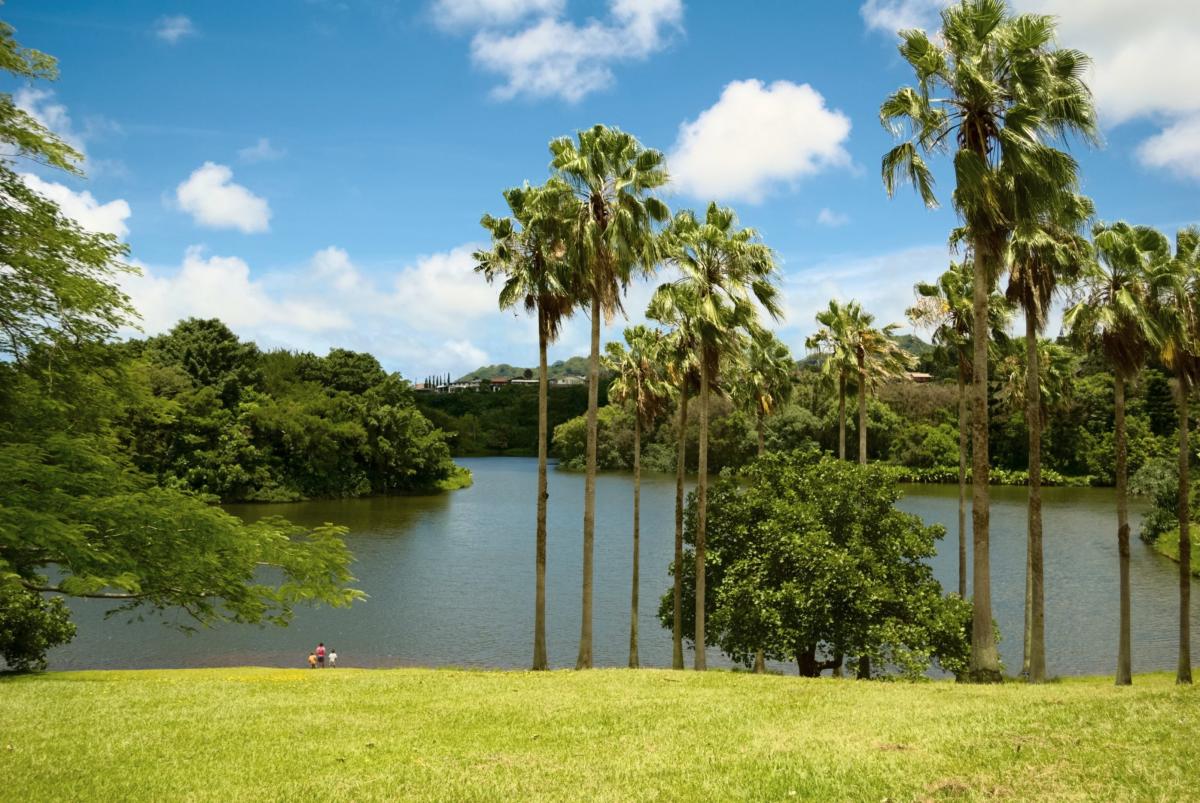 hoomaluhia gardens oahu