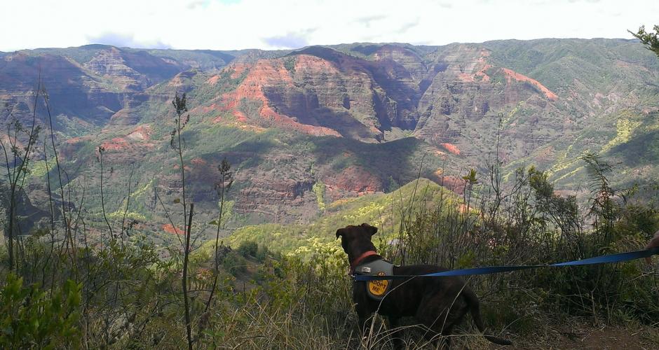 kauai