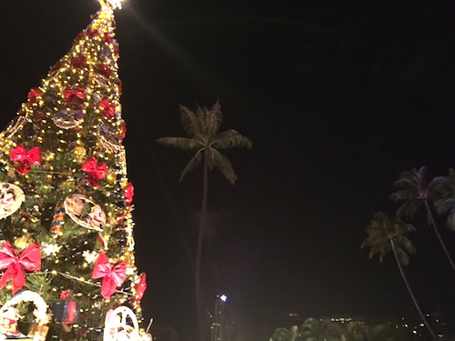 holiday_light_displays_oahu_honolulu_maui_kauai