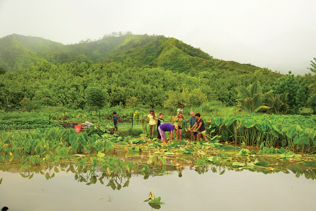 waipa foundation kauai