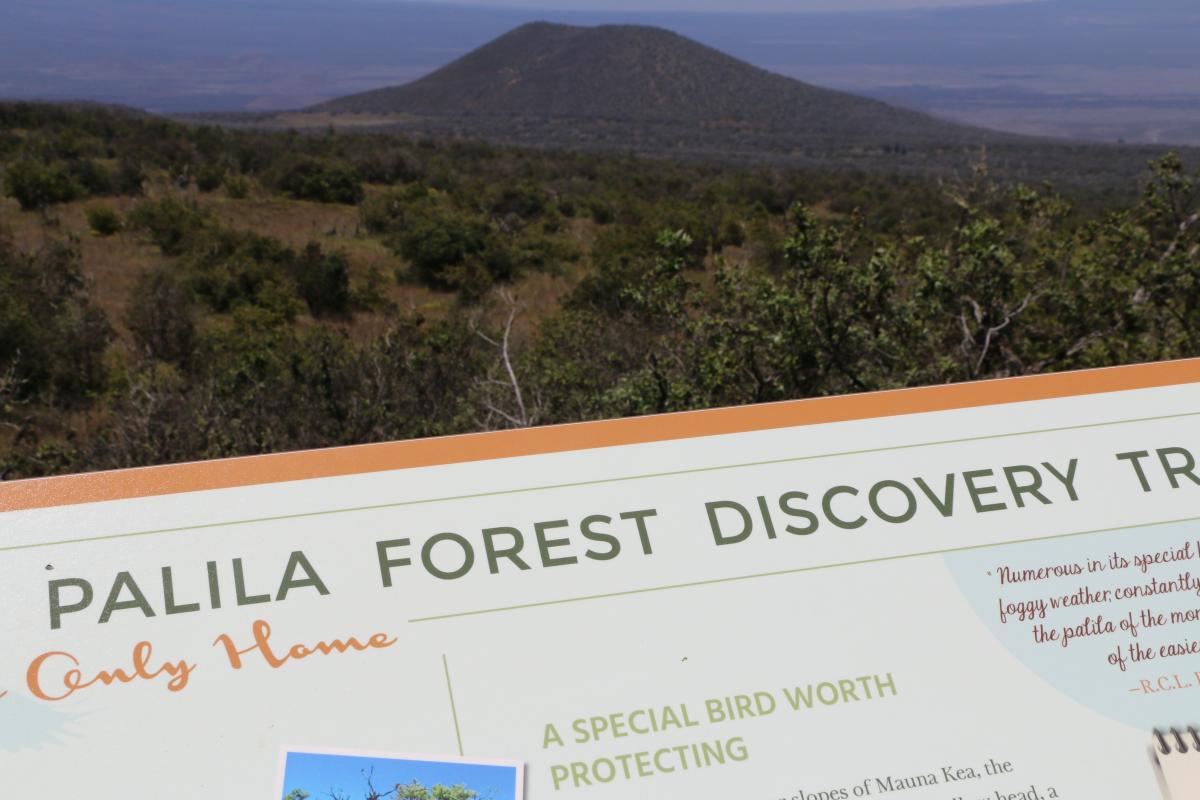 palila trail